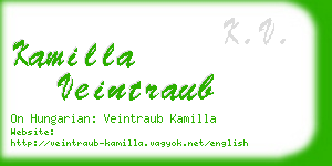 kamilla veintraub business card